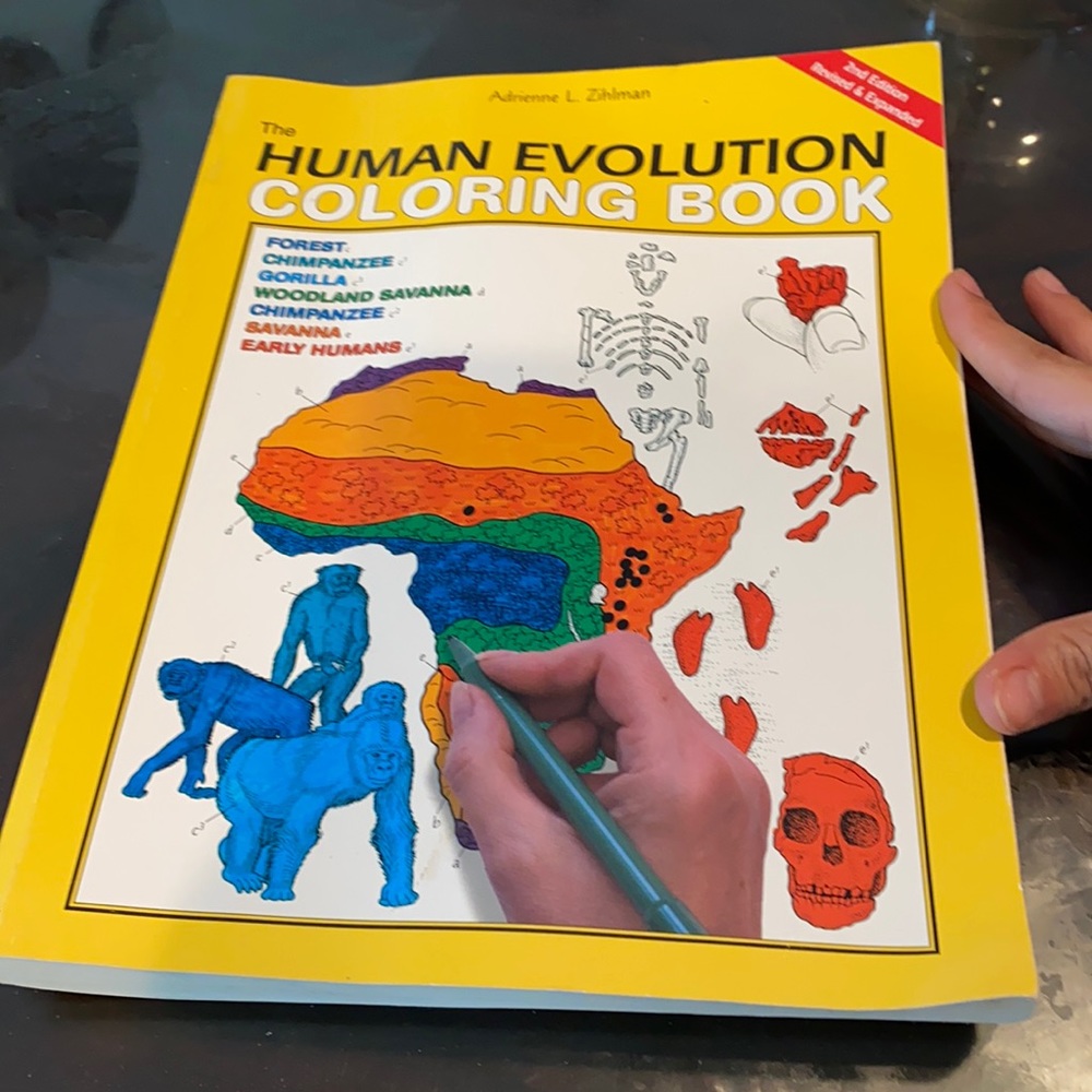 Human Evolution Coloring Book